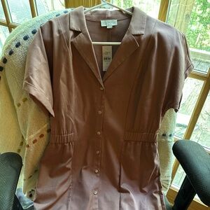 Cute, multiple season Anne Taylor Loft Dress,